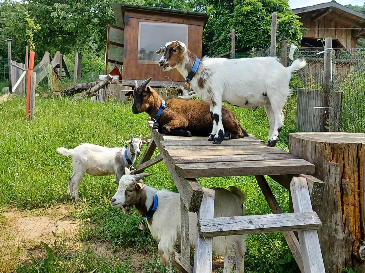 Foto eines Teilnehmers